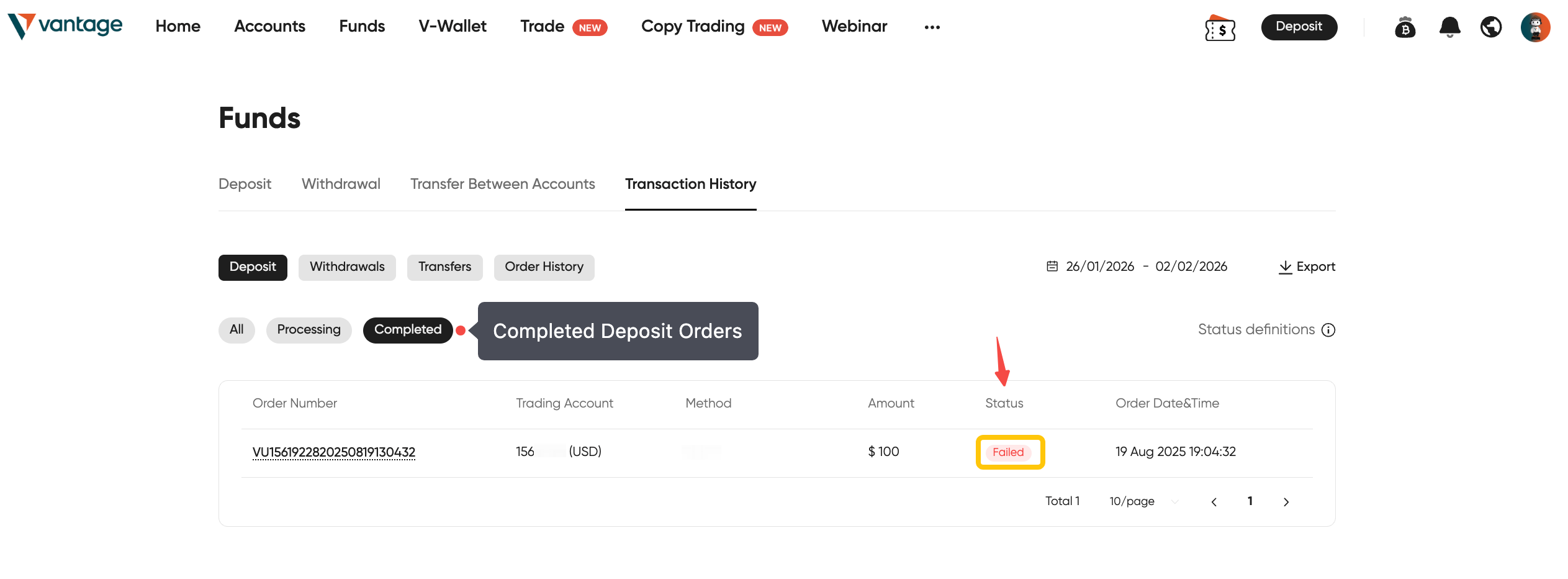 06.png